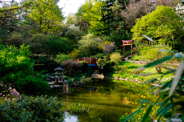 Cluj_Botanical Garden